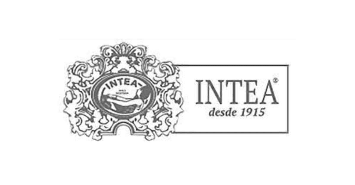 Intea international